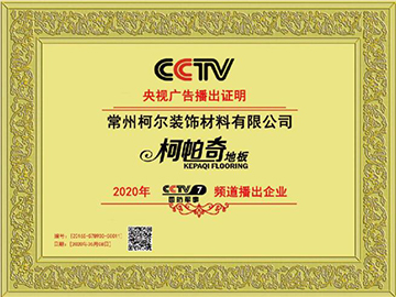 央视广告展播品牌